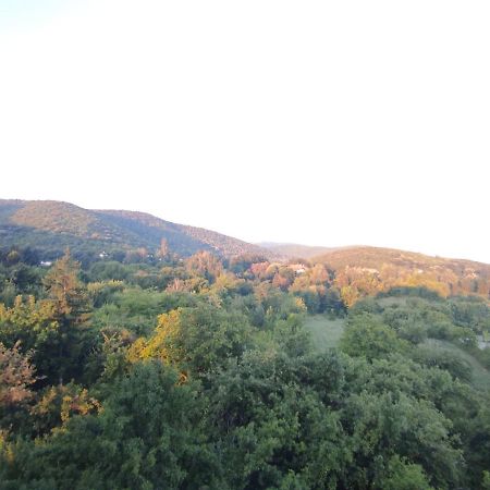 Sky Apartman Soko Banja Esterno foto