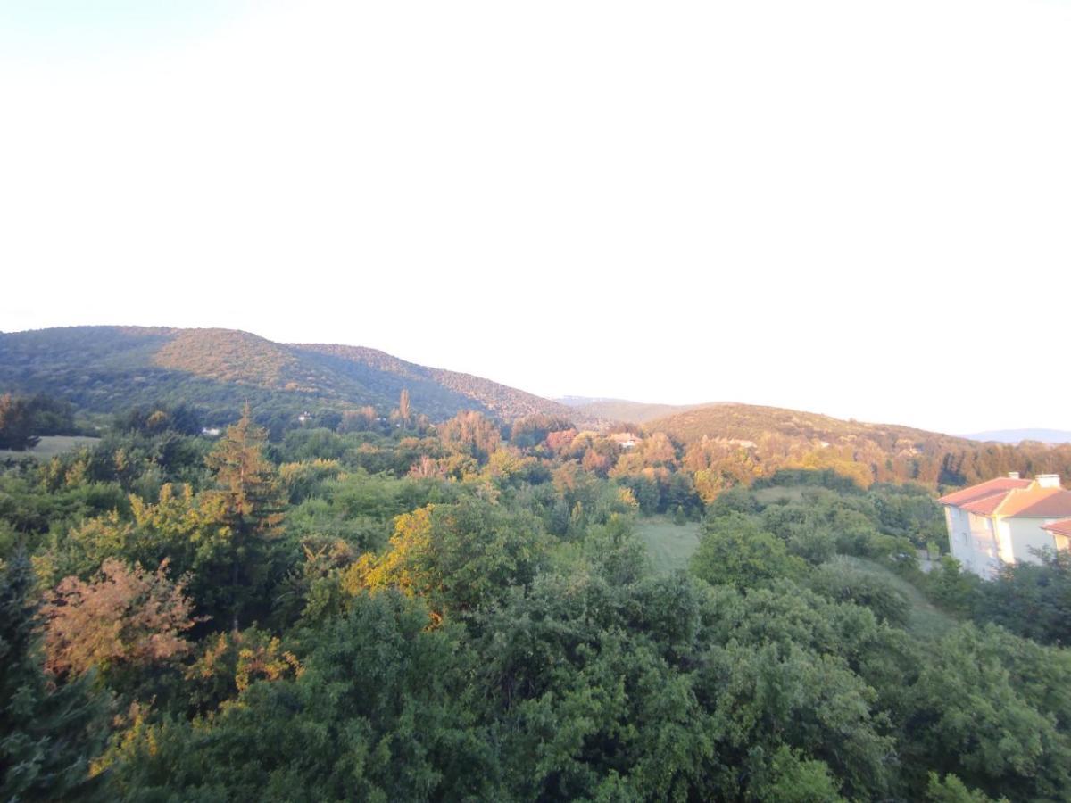 Sky Apartman Soko Banja Esterno foto
