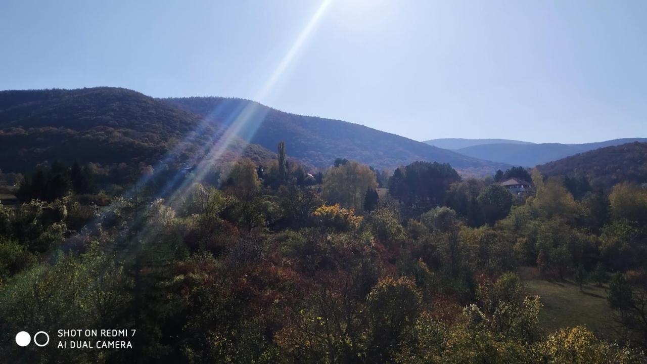 Sky Apartman Soko Banja Esterno foto